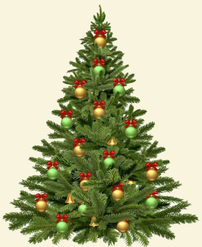 Weihnachtsbaum